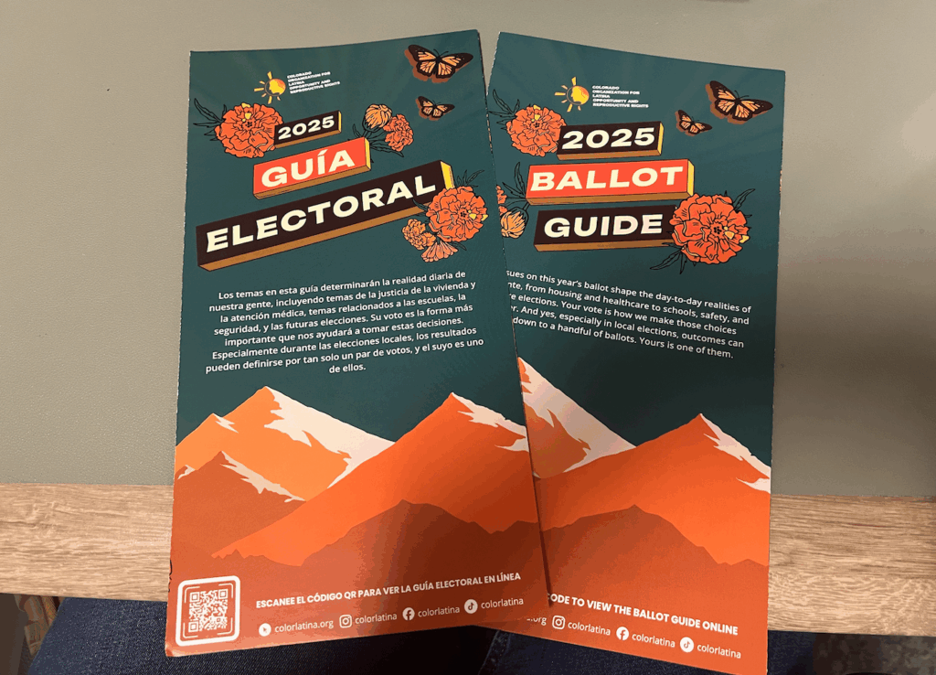 WTF is COLOR’s Ballot Guide? Let’s break it down sis. - COLOR Latina